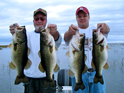 bass_fishing_guide_4_pigs250.jpg
