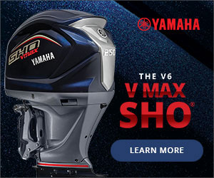 VMAX-V6-300x250.jpg