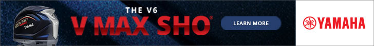 VMAX-V6-728x90.jpg